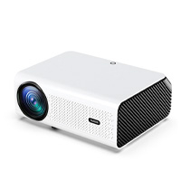 PROYECTOR VANKYO LEISURE 495W