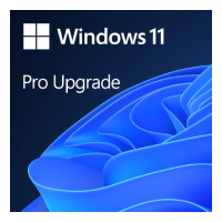 MICROSOFT CSP WINDOWS 11 HOME TO PRO UPGRADE FOR MICROSOFT 365 BUSINESS COM - PERPETUO